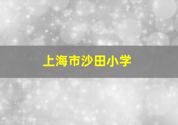 上海市沙田小学