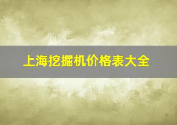 上海挖掘机价格表大全