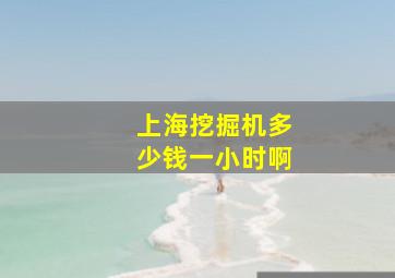 上海挖掘机多少钱一小时啊