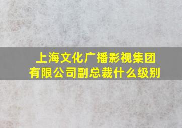 上海文化广播影视集团有限公司副总裁什么级别