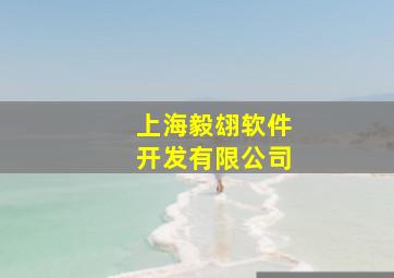 上海毅翃软件开发有限公司