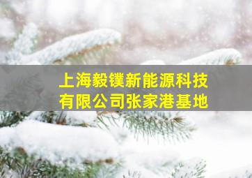 上海毅镤新能源科技有限公司张家港基地