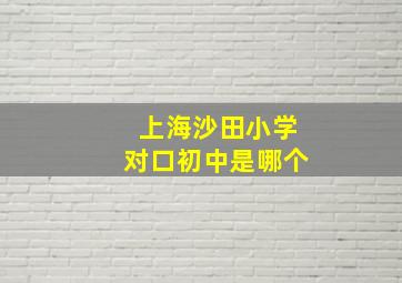 上海沙田小学对口初中是哪个