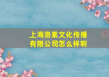 上海洛素文化传播有限公司怎么样啊