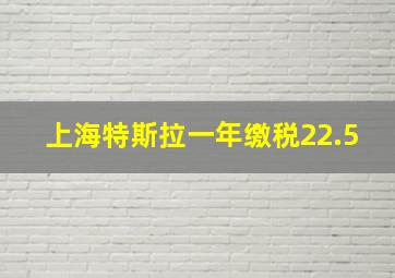 上海特斯拉一年缴税22.5