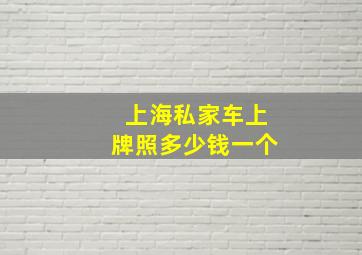 上海私家车上牌照多少钱一个