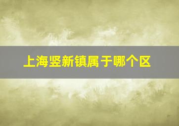 上海竖新镇属于哪个区