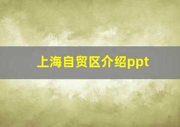 上海自贸区介绍ppt