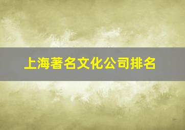 上海著名文化公司排名