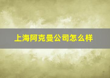 上海阿克曼公司怎么样