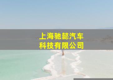 上海驰懿汽车科技有限公司