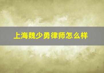 上海魏少勇律师怎么样