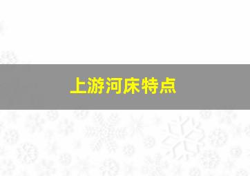 上游河床特点