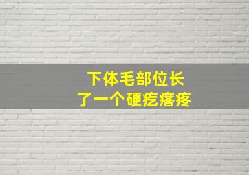 下体毛部位长了一个硬疙瘩疼