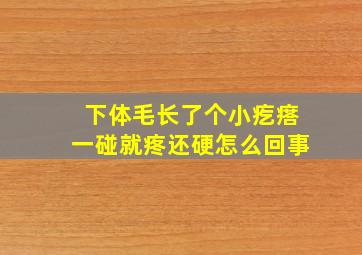 下体毛长了个小疙瘩一碰就疼还硬怎么回事