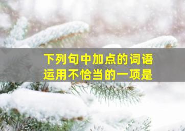 下列句中加点的词语运用不恰当的一项是