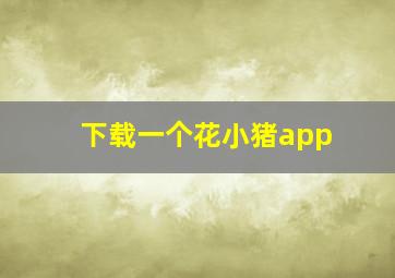 下载一个花小猪app