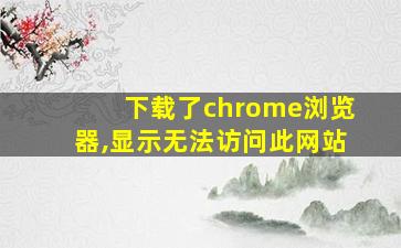 下载了chrome浏览器,显示无法访问此网站