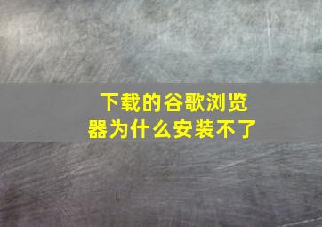 下载的谷歌浏览器为什么安装不了