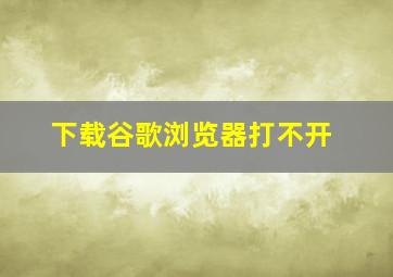 下载谷歌浏览器打不开