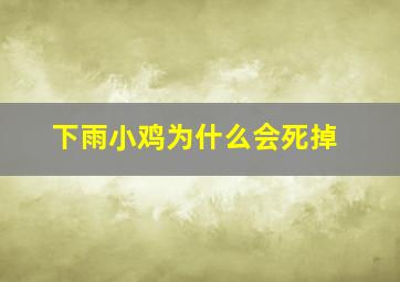 下雨小鸡为什么会死掉