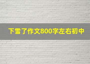 下雪了作文800字左右初中