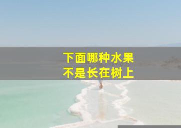 下面哪种水果不是长在树上