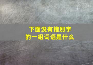 下面没有错别字的一组词语是什么