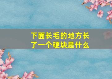 下面长毛的地方长了一个硬块是什么