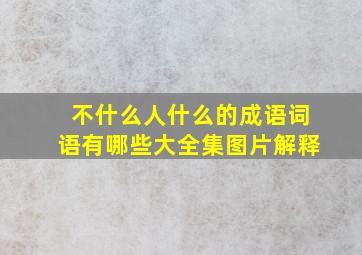 不什么人什么的成语词语有哪些大全集图片解释