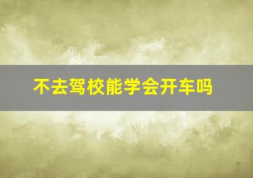 不去驾校能学会开车吗