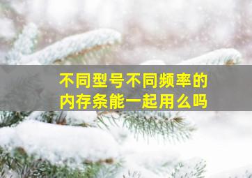 不同型号不同频率的内存条能一起用么吗