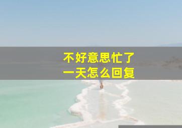 不好意思忙了一天怎么回复