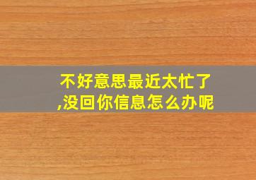 不好意思最近太忙了,没回你信息怎么办呢