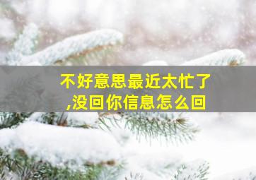 不好意思最近太忙了,没回你信息怎么回