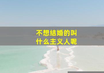 不想结婚的叫什么主义人呢