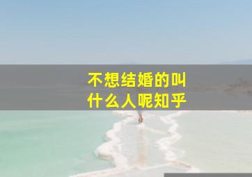 不想结婚的叫什么人呢知乎