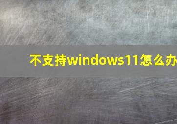 不支持windows11怎么办