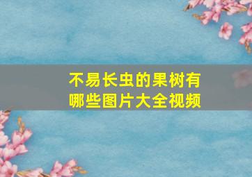 不易长虫的果树有哪些图片大全视频