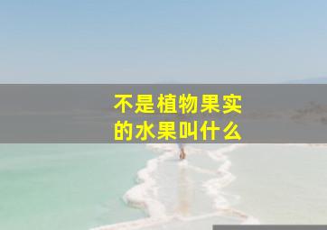 不是植物果实的水果叫什么