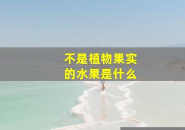 不是植物果实的水果是什么