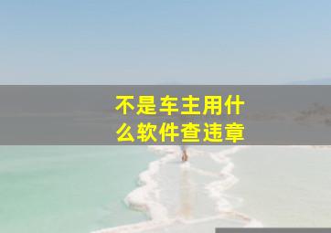 不是车主用什么软件查违章