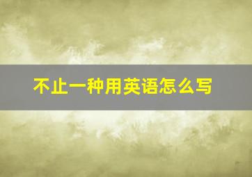 不止一种用英语怎么写