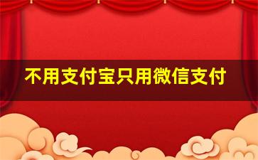 不用支付宝只用微信支付