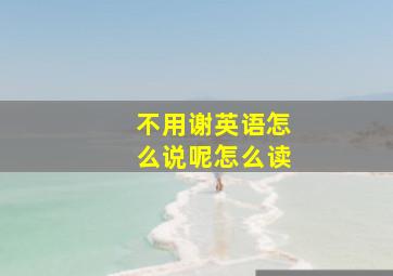 不用谢英语怎么说呢怎么读