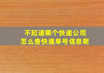 不知道哪个快递公司怎么查快递单号信息呢