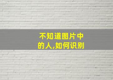 不知道图片中的人,如何识别