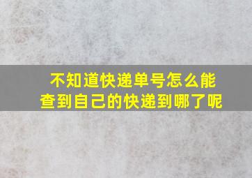 不知道快递单号怎么能查到自己的快递到哪了呢