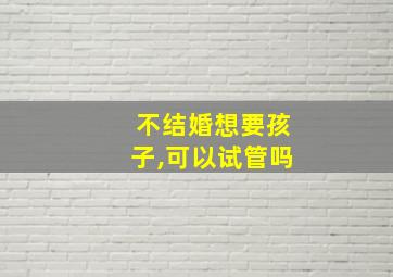 不结婚想要孩子,可以试管吗