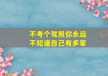 不考个驾照你永远不知道自己有多笨